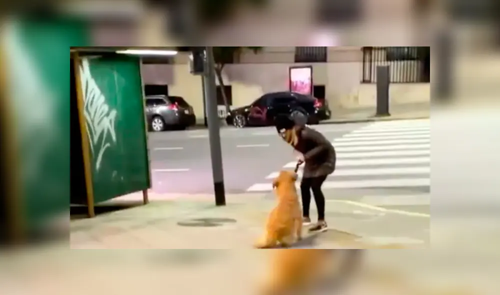 Una cruel mujer golpeó, pisoteó y ahorcó con la correa a su perro, mientras le gritaba y lo insultaba. Foto: Captura