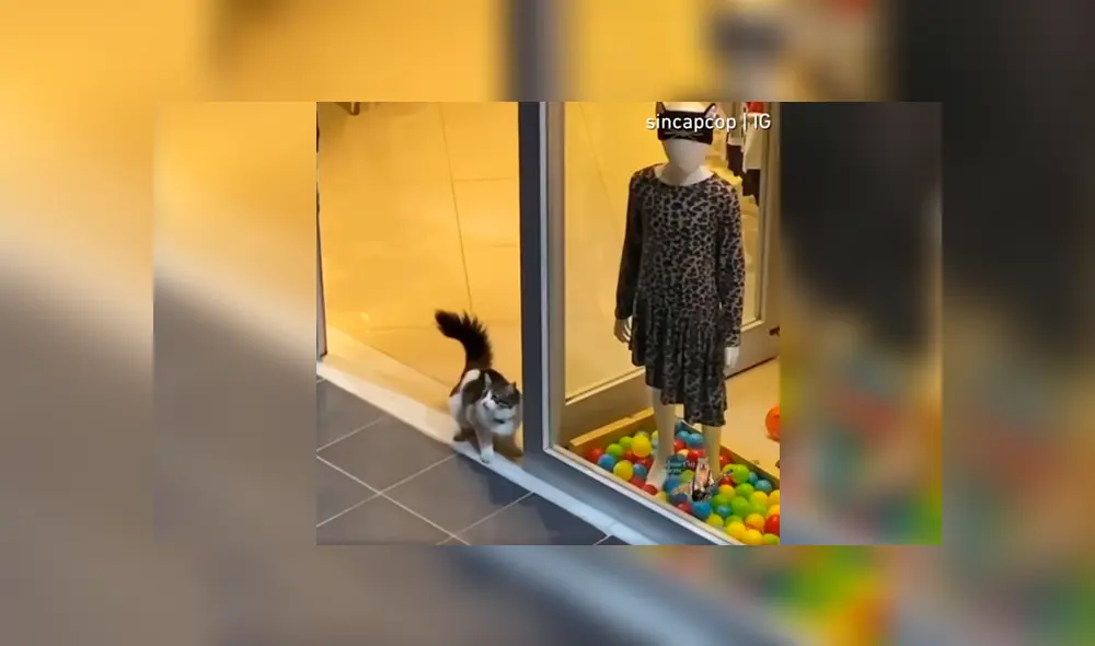 Desliza a la izquierda para conocer el nuevo viral de YouTube. Foto: Captura.