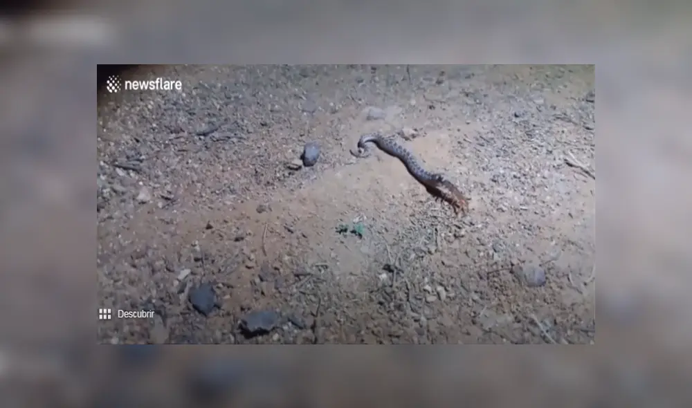 Desliza para ver los detalles del video viral de YouTube. Foto: Captura. Desliza para ver los detalles del video viral de YouTube. Foto: Captura.