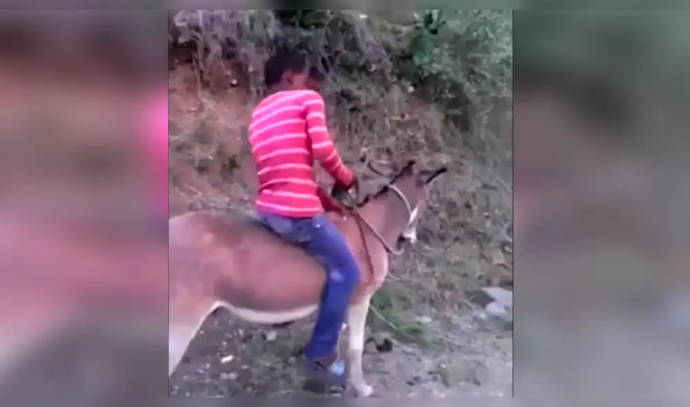 YouTube: niño se acerca a su burro, lo monta y ambos huyen a toda velocidad [VIDEO] 