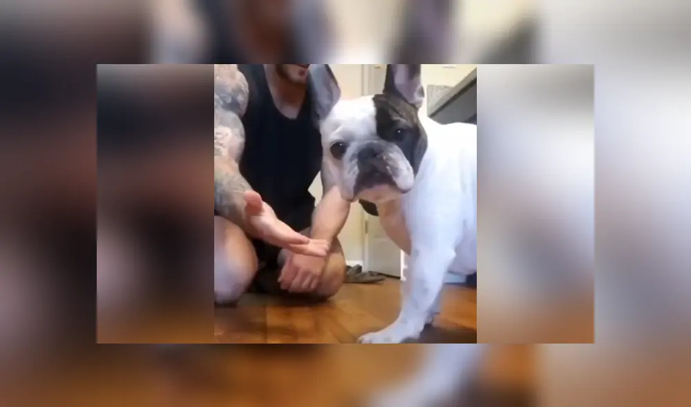 A través de Facebook se hizo viral la curiosa reacción de un can al ser víctima de un truco de magia de su dueño.