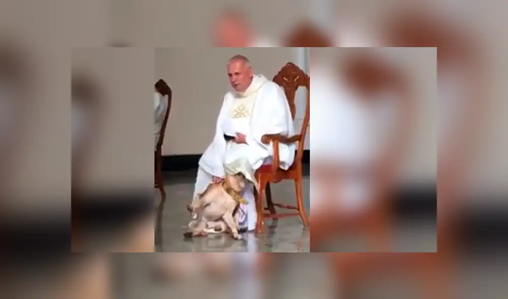 Facebook viral: perro irrumpe a párroco durante misa y la reacción de religioso asombra a todos [VIDEO]