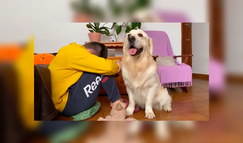 En YouTube se hizo viral la tierna reacción de un perro al notar que su dueño estaba triste. En YouTube se hizo viral la tierna reacción de un perro al notar que su dueño estaba triste.