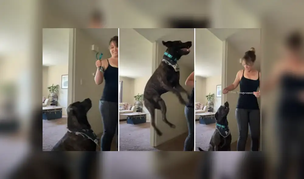 Desliza hacia la izquierda para ver las imágenes del viral de YouTube. Desliza hacia la izquierda para ver las imágenes del viral de YouTube.