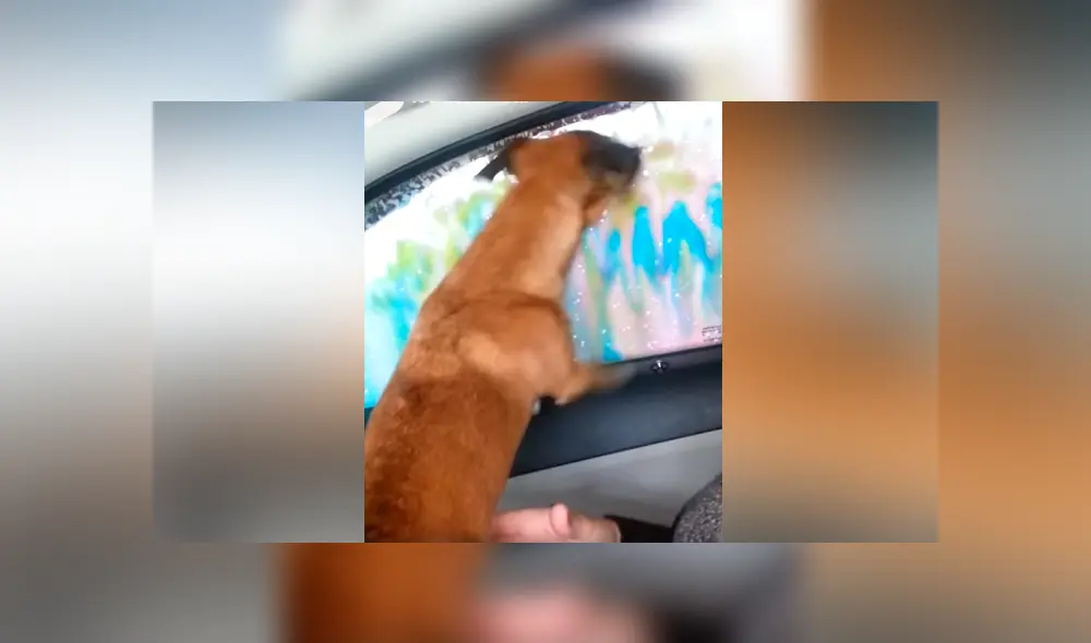 Desliza para ver los momentos más divertidos del video que se hizo viral en YouTube. Desliza para ver los momentos más divertidos del video que se hizo viral en YouTube.