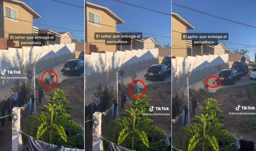 El video ha alcanzado más de ocho millones de visualizaciones en TikTok. Foto: composición LR/captura de TikTok/@diciembretomasa