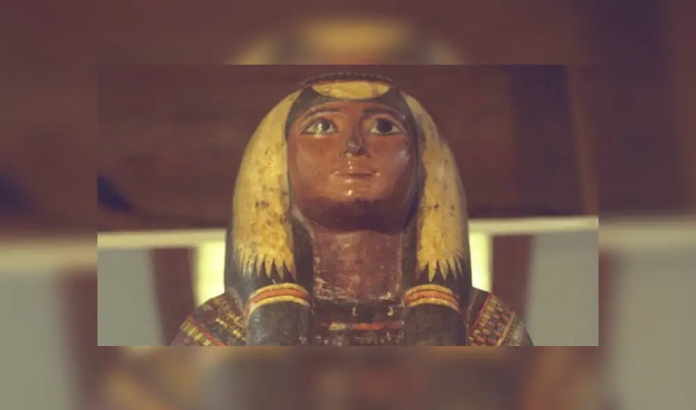 Museo Nacional de Brasil: confirman la pérdida total de importante colección