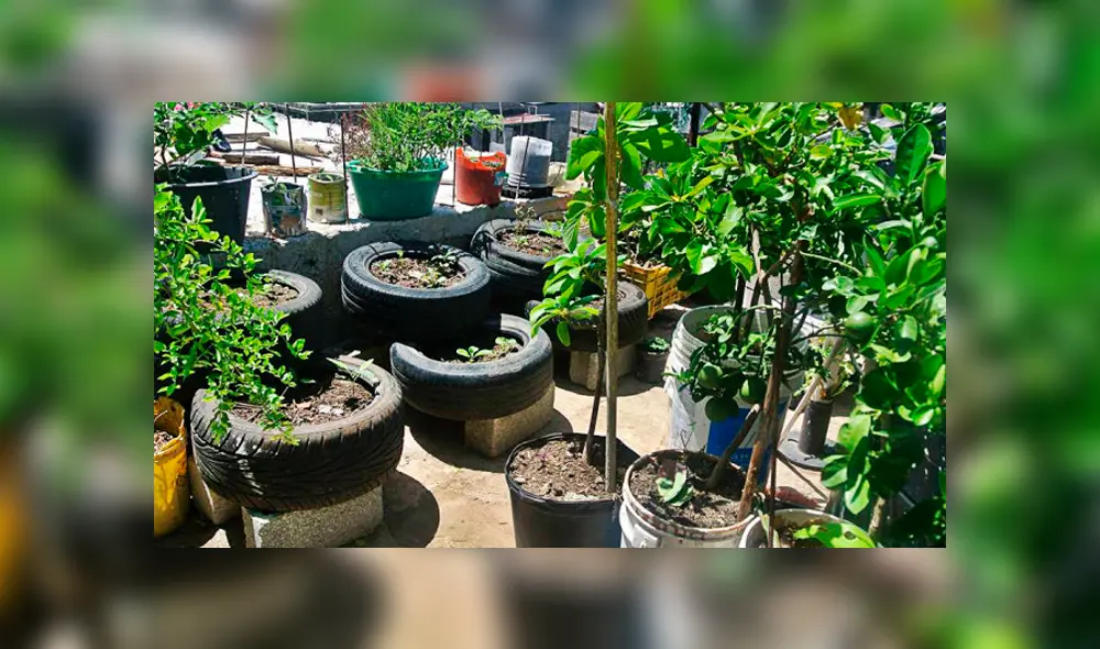 Jorge Miles- bacteria come neumáticos Jorge Miles- bacteria come neumáticos