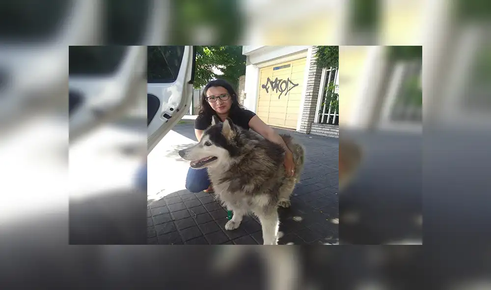 Facebook viral: perro fue robado y seis años después su familia logra encontrarlo [VIDEO] 