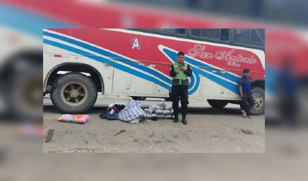 Áncash: PNP halló 21 paquetes de marihuana en bus interprovincial en Nuevo Chimbote