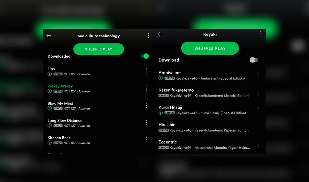 Las canciones que tengan letra disponible, aparecerán marcadas por el letrero "Lyrics".