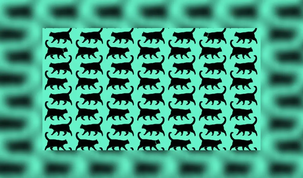 Desliza las imágenes para ver la respuesta de este complejo reto visual de Facebook. Foto: Televisa Desliza las imágenes para ver la respuesta de este complejo reto visual de Facebook. Foto: Televisa