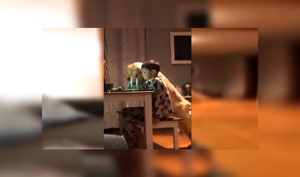 En Facebook, un padre colocó una cámara de seguridad en su casa y descubrió tierna escena protagonizada por su hijo y perro. En Facebook, un padre colocó una cámara de seguridad en su casa y descubrió tierna escena protagonizada por su hijo y perro.