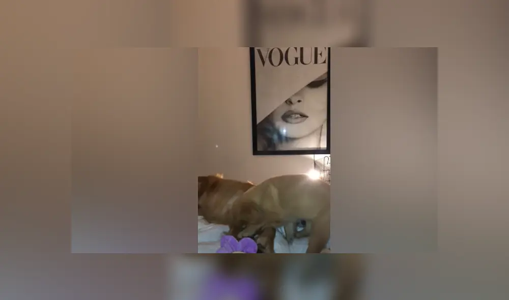 Desliza hacia la izquierda para ver las imágenes del viral de Facebook. Desliza hacia la izquierda para ver las imágenes del viral de Facebook.