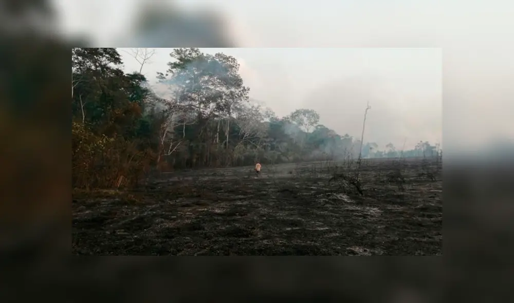 Kerenda Homet: Nature Reserve ubicada en Puerto Maldonado. Foto: Actualidad Ambiental