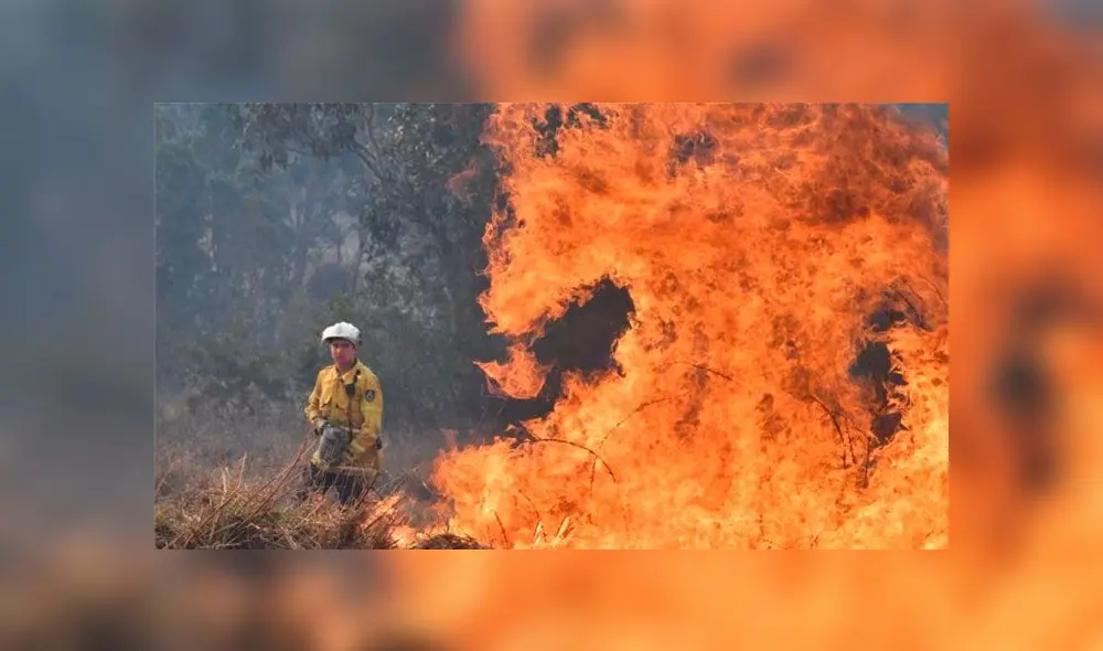 Incendios forestales en Australia. Foto: EFE Incendios forestales en Australia. Foto: EFE