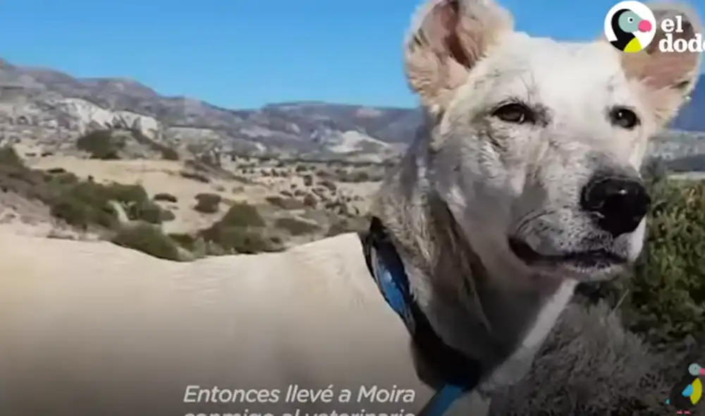 Desliza hacia la izquierda para ver las imágenes del video viral. Foto: Captura de YouTube. Desliza hacia la izquierda para ver las imágenes del video viral. Foto: Captura de YouTube.