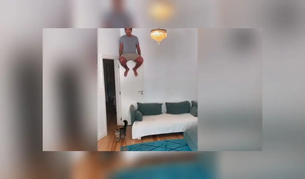 Desliza las imágenes para ver la curiosa reacción que tuvo un gato y un perro ante la peculiar broma de su dueño. Foto: Woof Woof