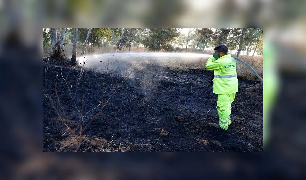 Un bombero israelí extingue un incendio provocado por un globo incendiario lanzado desde la Franja de Gaza. Foto: JACK GUEZ / AFP. Un bombero israelí extingue un incendio provocado por un globo incendiario lanzado desde la Franja de Gaza. Foto: JACK GUEZ / AFP.