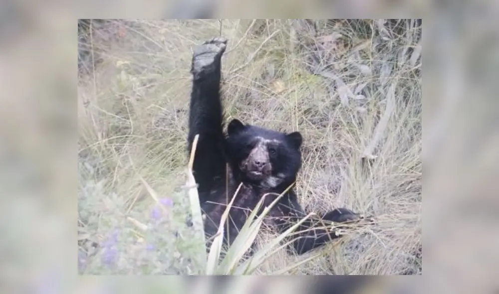 Coronavirus Coronavirus