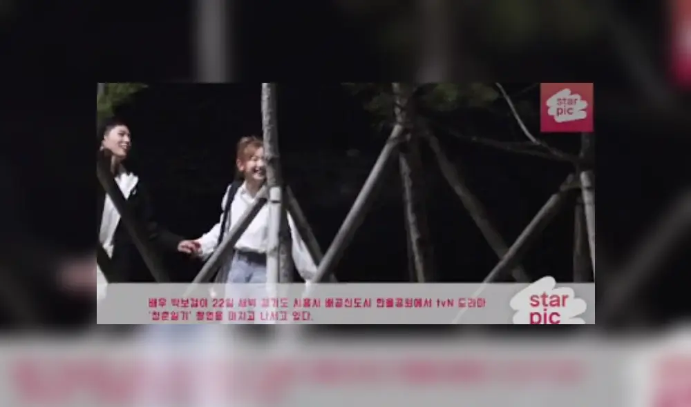 Park So Dam, Park Bo Gum, dorama