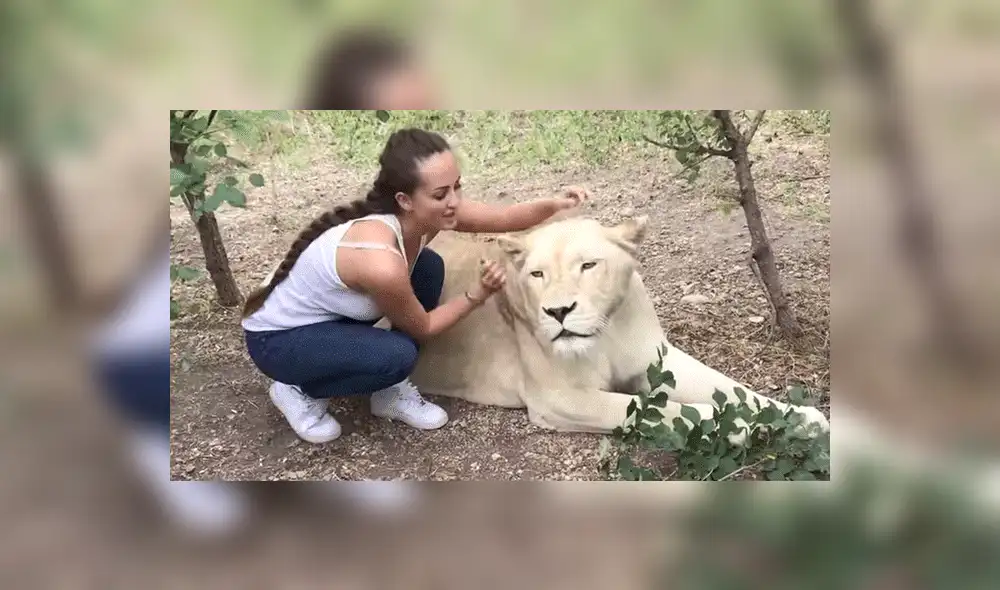 YouTube viral: Entra a calabozo de feroz depredador y este asombra a todos con una insólita reacción [VIDEO]