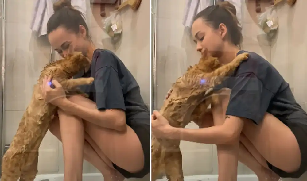 Desliza las imágenes para ver más detalles sobre esta curiosa escena que ha hecho reír a miles de usuarios. Foto: captura de YouTube