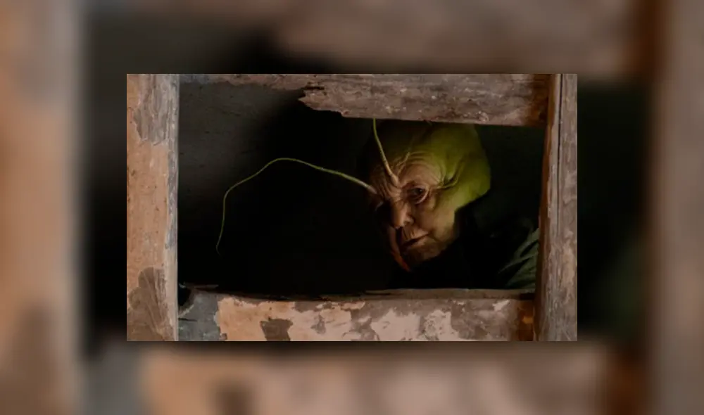 Davide Marotta Davide Marotta