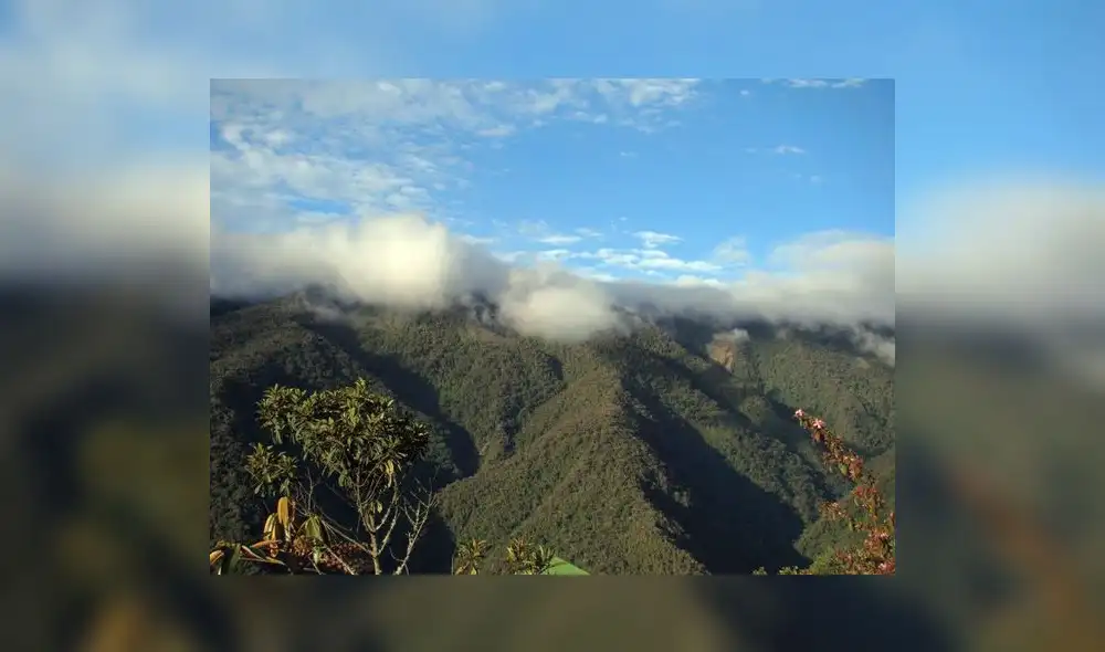 Kosñipata, el futuro verde es ahora