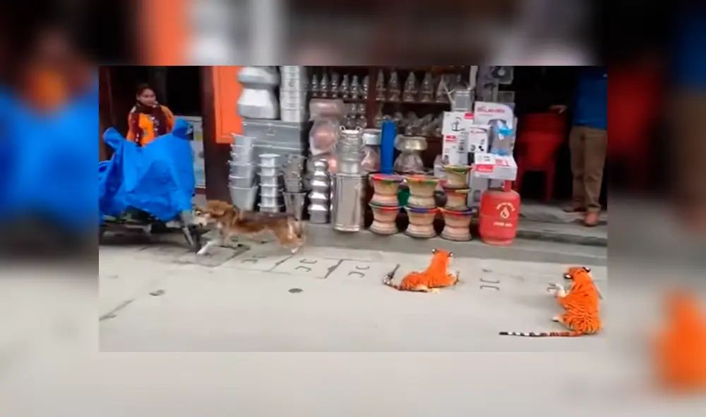 Desliza las imágenes hacia la izquierda para observar la reacción de un perro tras ser víctima de una pesada broma.