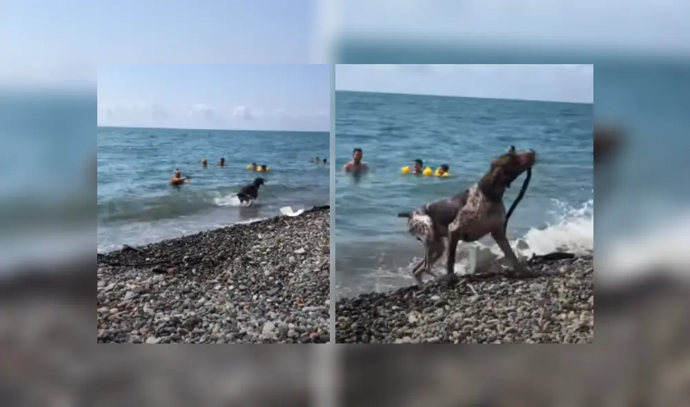 Desliza hacia la izquierda para ver más del video viral. Fotocaptura: YouTube viral Desliza hacia la izquierda para ver más del video viral. Fotocaptura: YouTube viral