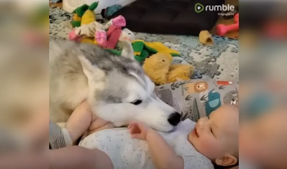 Desliza hacia la izquierda para ver las imágenes del video viral. Foto: Captura de Facebook