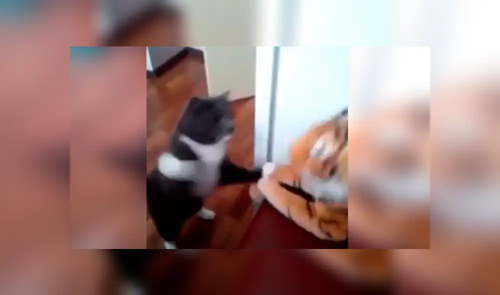 Desliza para ver detalles del video viral de Facebook. Foto: Captura. Desliza para ver detalles del video viral de Facebook. Foto: Captura.