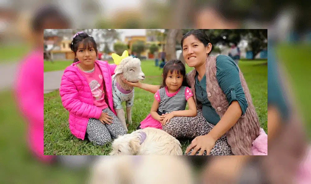 Oveja participa en concurso de mascotas por Halloween disfrazada de unicornio [FOTOS]