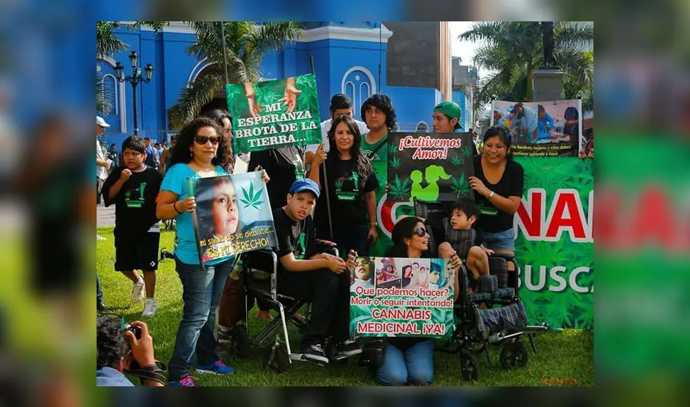 Ejecutivo propone legalizar marihuana para uso médico