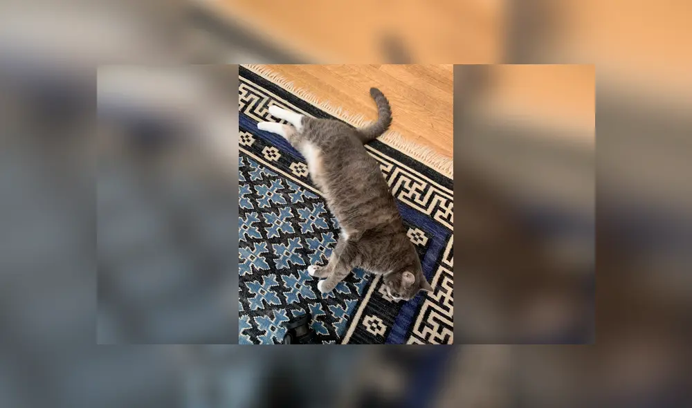 Desliza las imágenes hacia la izquierda para conocer la verdadera respuesta del nuevo reto de Facebook. Foto: Kate Hinds.