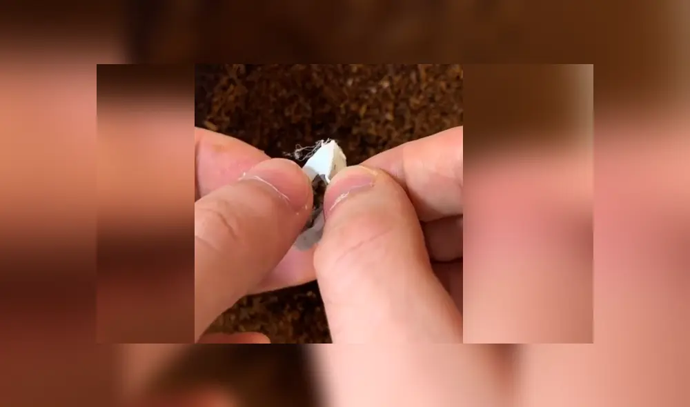 Un video viral de Facebook registró el momento en que cientos de peligrosas criaturas salieron de una misteriosa bolsa. Un video viral de Facebook registró el momento en que cientos de peligrosas criaturas salieron de una misteriosa bolsa.