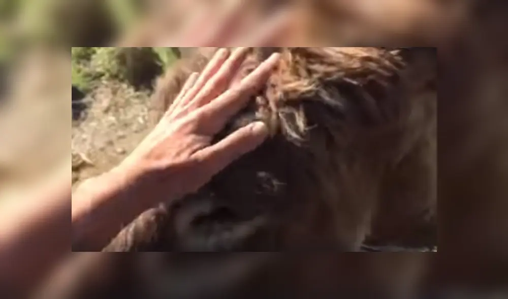 Desliza hacia la izquierda para ver más del video viral. Desliza hacia la izquierda para ver más del video viral.