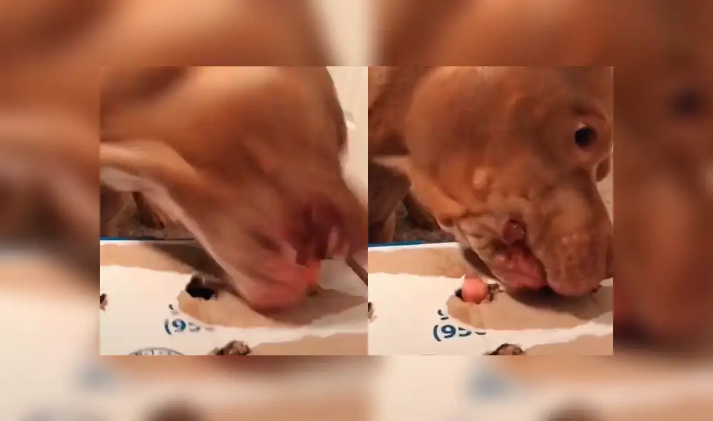 Desliza a la izquierda para ver el juego que ha sorprendido a los usuarios de Facebook. Foto: Captura. Desliza a la izquierda para ver el juego que ha sorprendido a los usuarios de Facebook. Foto: Captura.