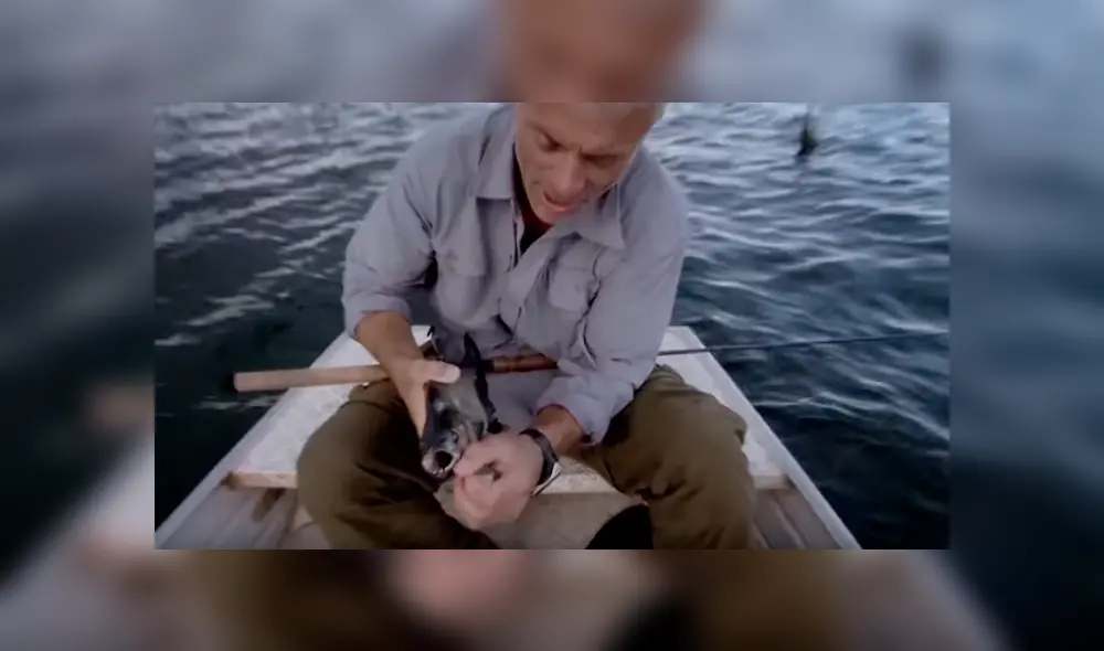 Pescador ingresa a peligrosa playa de Brasil para atrapar a peligrosa criatura marina que atacó a bañistas. Pescador ingresa a peligrosa playa de Brasil para atrapar a peligrosa criatura marina que atacó a bañistas.