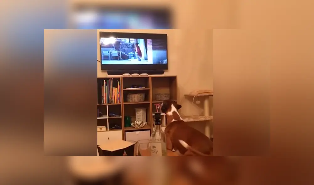 Desliza para ver los momentos más tierno del video que se hizo viral en Facebook. Desliza para ver los momentos más tierno del video que se hizo viral en Facebook.