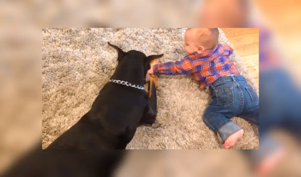 Desliza hacia la izquierda para más imágenes del divertido encuentro. (Foto: captura) Desliza hacia la izquierda para más imágenes del divertido encuentro. (Foto: captura)
