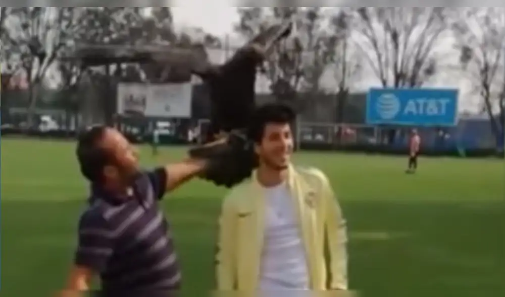 Águila ataca en la cabeza a Sebastián Yatra en sesión de fotos [VIDEO]