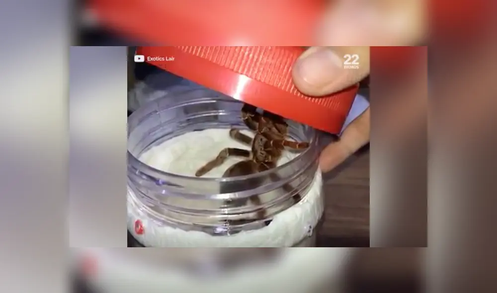 Desliza a la izquierda para conocer más sobre este terrorífico descubrimiento que ahora es viral en YouTube. Foto: Captura.