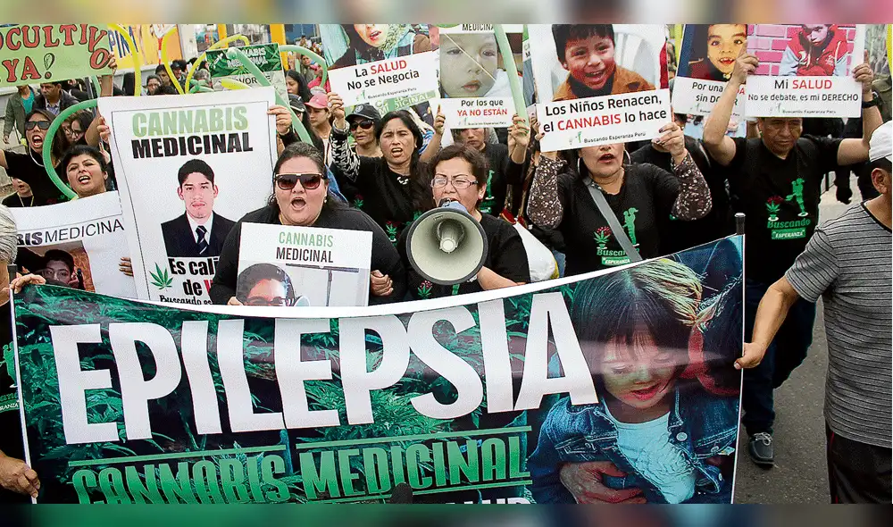 Aprueban ley que permite uso de cannabis medicinal