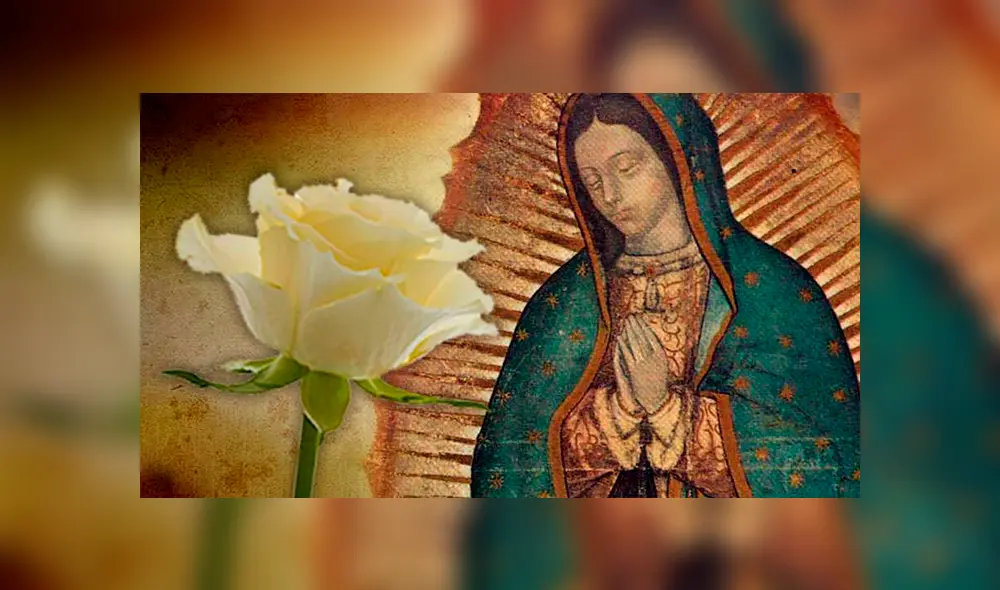 La Rosa de Guadalupe: así representó una pandemia el programa mexicano [VIDEO]