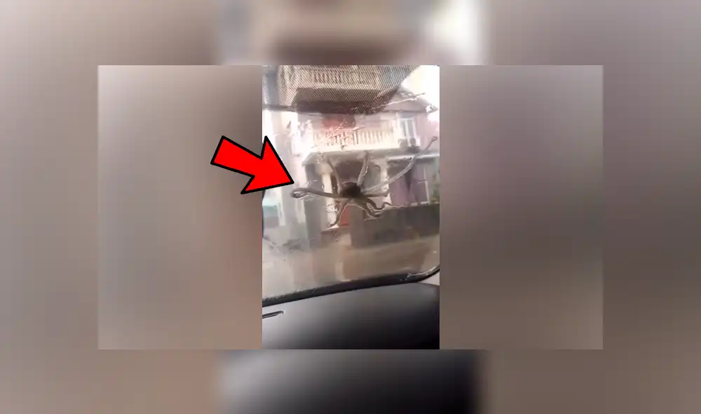 Facebook viral: misteriosa ‘criatura’ aparece mientras hombre conduce vehículo y por poco ocasiona accidente