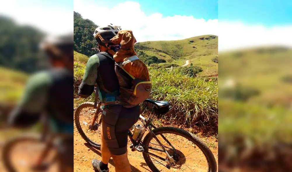 Desliza las imágenes para conocer al perrito que fue rescatado por un ciclista en medio del desierto brasileño. Foto: Facebook