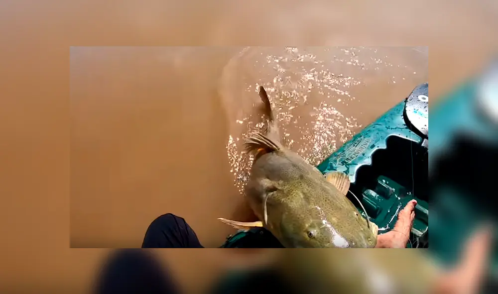 Un hombre de Brasil atrapó a extraño pez que ha sorprendido a miles en YouTube.