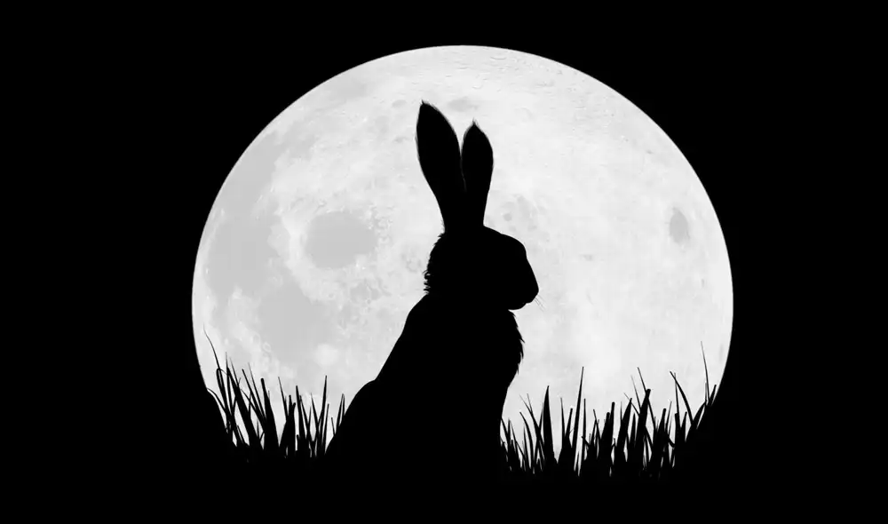 Netflix: Todos los estrenos en series y películas para diciembre